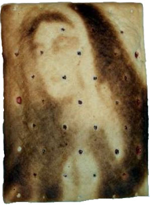 Mary-on-a-Pop-Tart2-(5